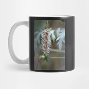 Seeds Mug